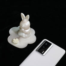 Load image into Gallery viewer, Flat Bottom Cover Cat Paw Storage Box Mold
