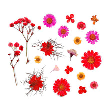 Load image into Gallery viewer, Dried Flower Material
