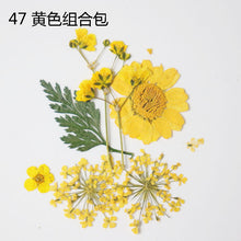 Load image into Gallery viewer, Dried Flower Pack
