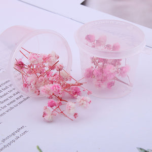 Starry Sky 3D Dried Flower Accessories