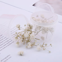 Load image into Gallery viewer, Starry Sky 3D Dried Flower Accessories
