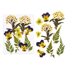 Load image into Gallery viewer, Dried Flower Bookmark Butterfly Accessories
