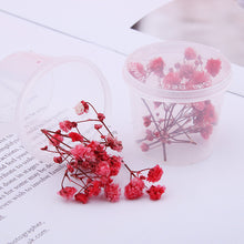 Load image into Gallery viewer, Starry Sky 3D Dried Flower Accessories
