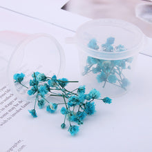 Load image into Gallery viewer, Starry Sky 3D Dried Flower Accessories
