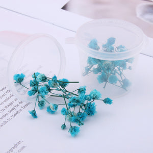 Starry Sky 3D Dried Flower Accessories