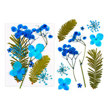 Load image into Gallery viewer, Dried Flower Bookmark Butterfly Accessories
