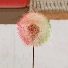 Load image into Gallery viewer, Dandelion Mold
