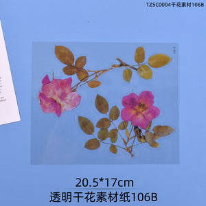 Transparent Dry Flower Material Paper