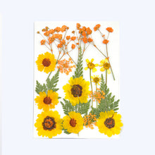 Load image into Gallery viewer, Dry Flower Butterfly Bag
