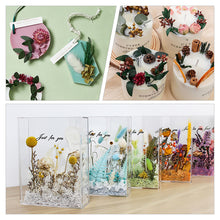 Load image into Gallery viewer, Flower card DIY material package, adhesive frame, group fan, candle decoration, filling material, eternal three-dimensional dry flower package
