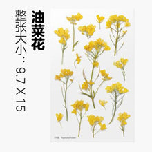 Load image into Gallery viewer, Dried Flower Stickers Material
