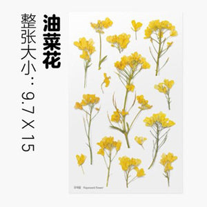 Dried Flower Stickers Material