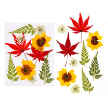 Load image into Gallery viewer, Dried Flower Bookmark Butterfly Accessories
