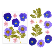 Load image into Gallery viewer, Dried Flower Bookmark Butterfly Accessories
