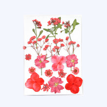 Load image into Gallery viewer, Dry Flower Butterfly Bag
