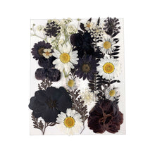 Load image into Gallery viewer, Dried Flowers Material Package
