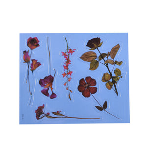 Transparent Dry Flower Material Paper