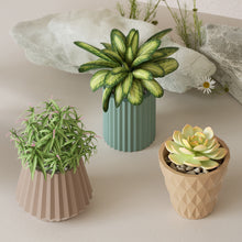 Load image into Gallery viewer, Cut Shape Flower Pot Mold
