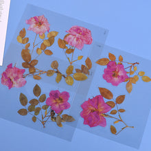 Load image into Gallery viewer, Transparent Dry Flower Material Paper
