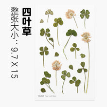 Load image into Gallery viewer, Dried Flower Stickers Material
