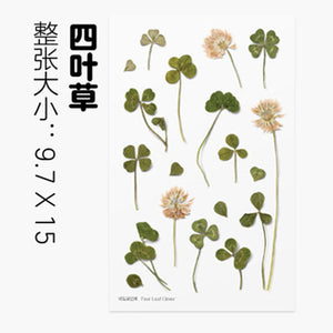 Dried Flower Stickers Material