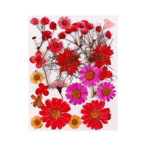 Dried Flower Material