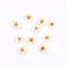 Load image into Gallery viewer, Star Mini Embossed Flower Material
