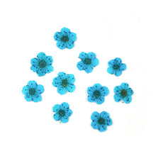 Load image into Gallery viewer, Star Mini Embossed Flower Material
