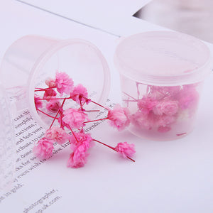 Starry Sky 3D Dried Flower Accessories