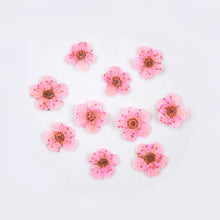 Load image into Gallery viewer, Star Mini Embossed Flower Material
