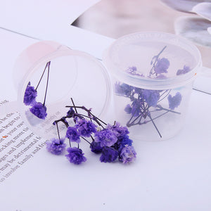 Starry Sky 3D Dried Flower Accessories