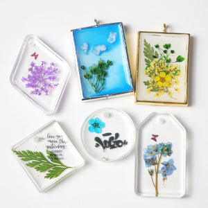 Dried Flower Pack