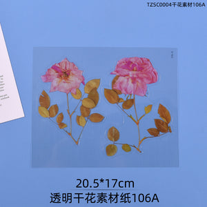 Transparent Dry Flower Material Paper