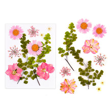 Load image into Gallery viewer, Dried Flower Bookmark Butterfly Accessories
