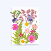 Load image into Gallery viewer, Dry Flower Butterfly Bag
