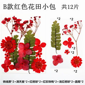 Plant Dry Embossing Material