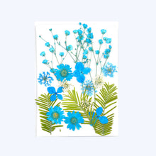 Load image into Gallery viewer, Dry Flower Butterfly Bag
