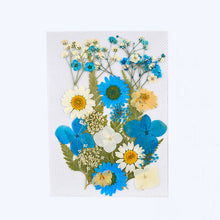 Load image into Gallery viewer, Dry Flower Butterfly Bag
